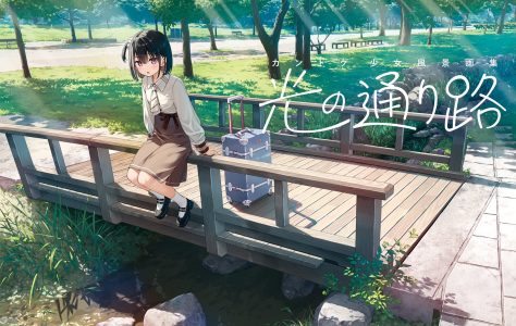 kantoku,雫,短发,裙装,公园,旅行箱